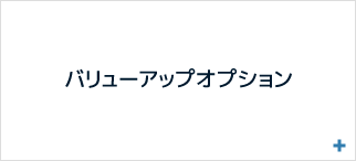 バリューアップオプション